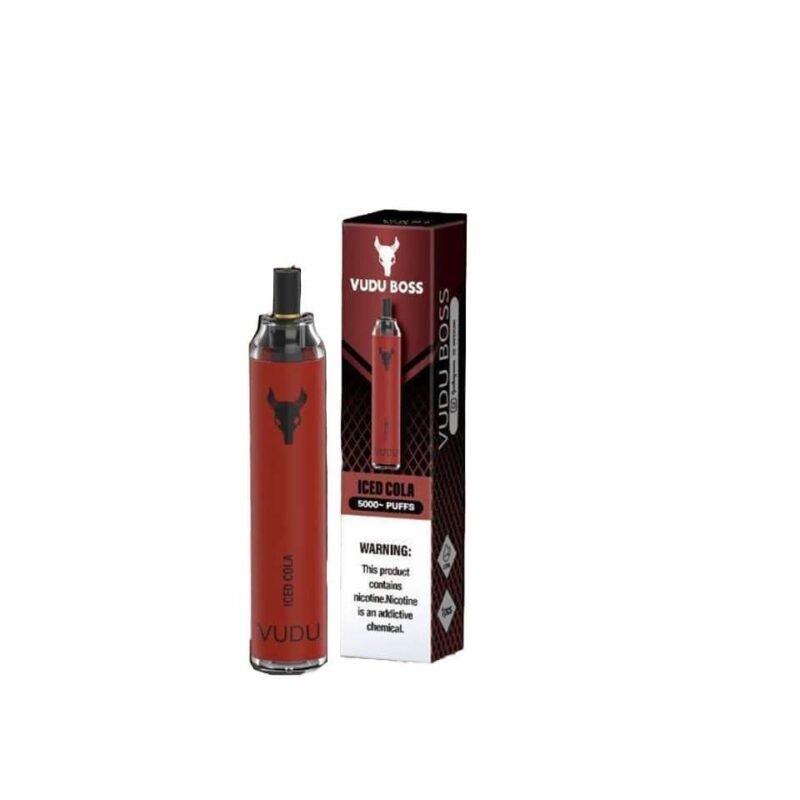 VUDU FILTER BOSS 5000 PUFFS - Image 10