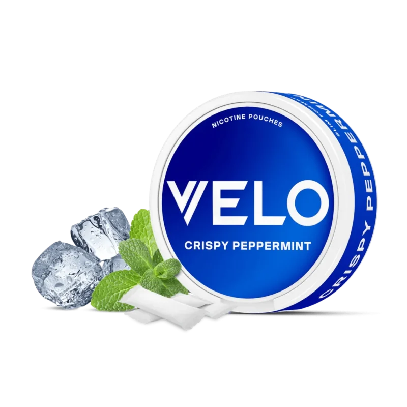 VELO POUCHES - Image 5