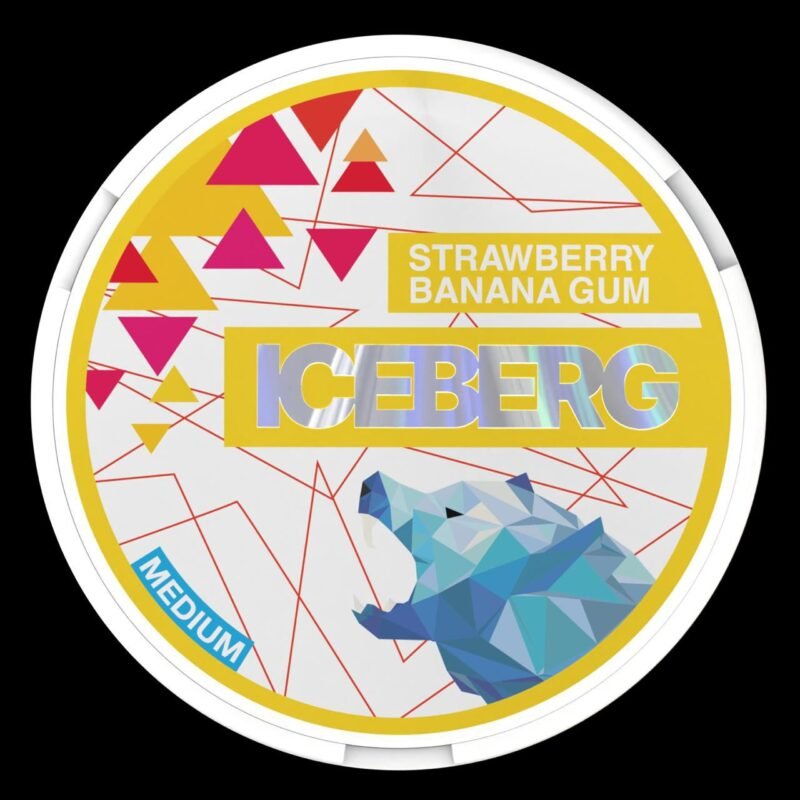 ICEBERG POUCHES - Image 11