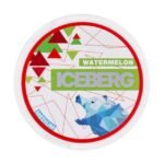 ICEBERG POUCHES - Image 2
