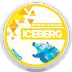ICEBERG POUCHES - Image 3