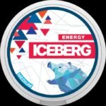 ICEBERG POUCHES - Image 4