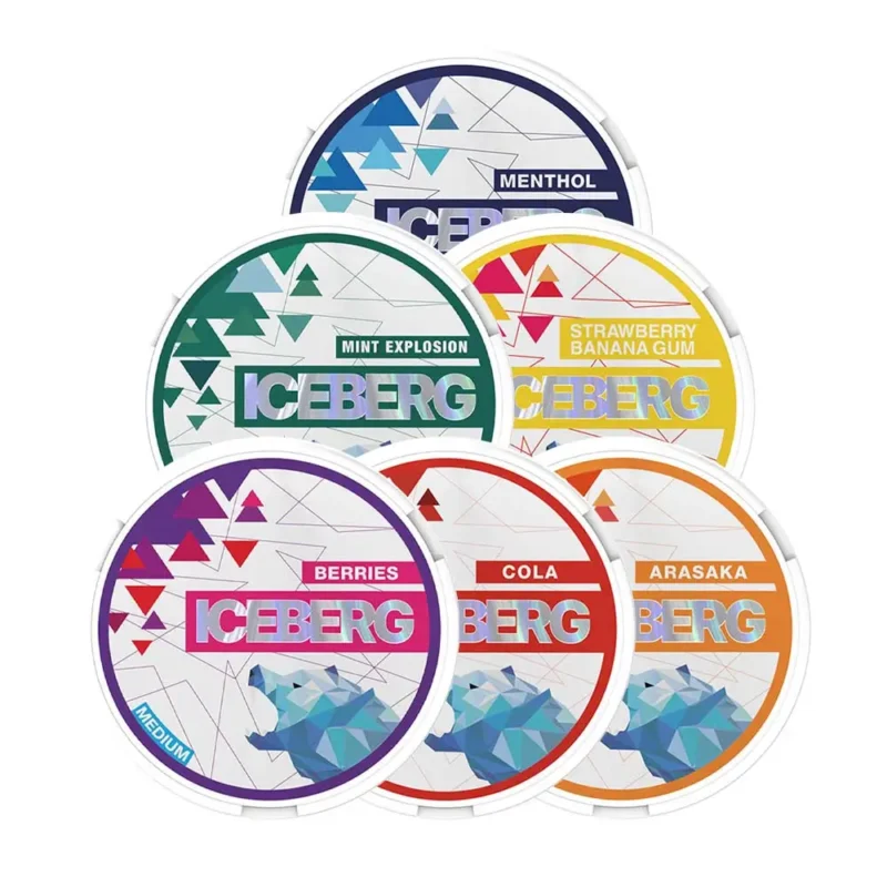 ICEBERG POUCHES - Image 1